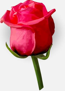 drawing rose bud vector