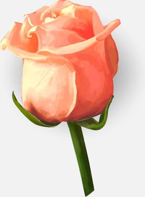 drawing rose bud vector