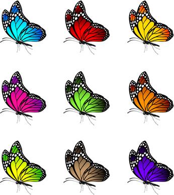 beautiful butterflies vector icons set