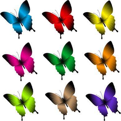 beautiful butterflies vector icons set