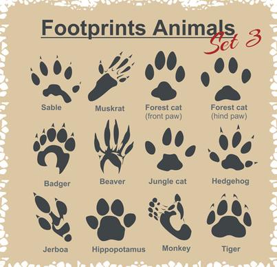 various footprints animals design vectors