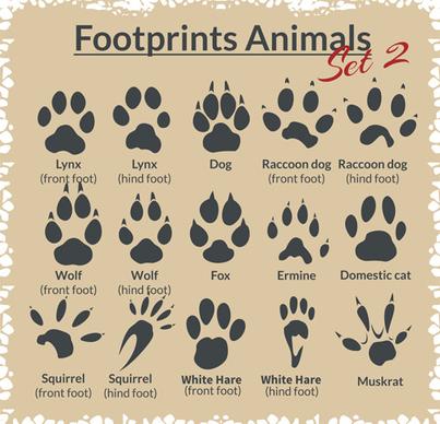 various footprints animals design vectors