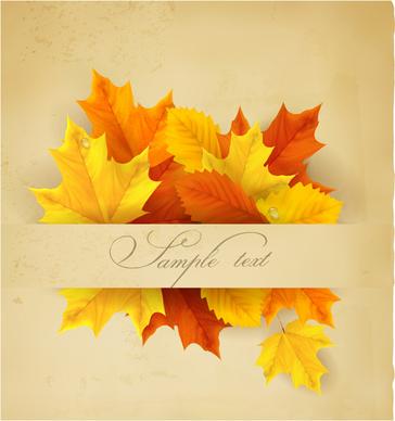 beautiful autumn leaves background art vectors