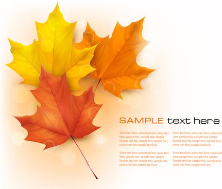 beautiful autumn leaves background art vectors