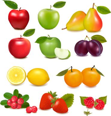 fresh fruits realistic vector