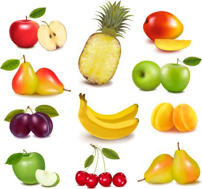 fresh fruits realistic vector