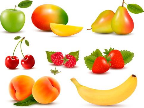 fresh fruits realistic vector