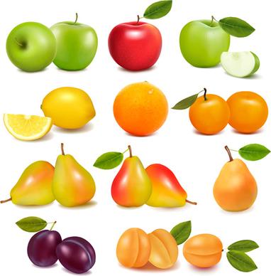 fresh fruits realistic vector