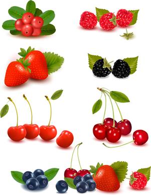 vivid berry design elements vector