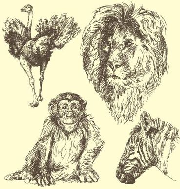 wild animals hand drawing vectors set