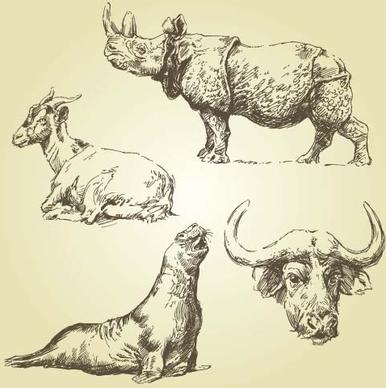 wild animals hand drawing vectors set