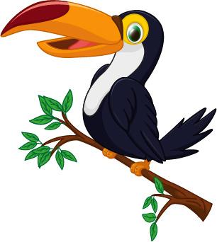 cartoon toucan bird vector