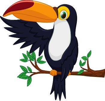 cartoon toucan bird vector