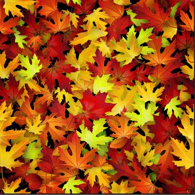 realistic autumn leaves pattern vector graphics