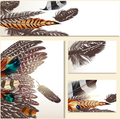 feathers banner with cards vector