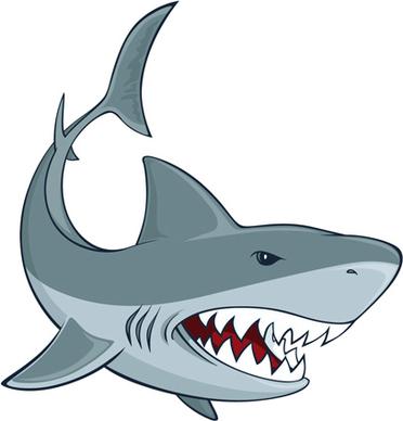 vivid shark design vectors set