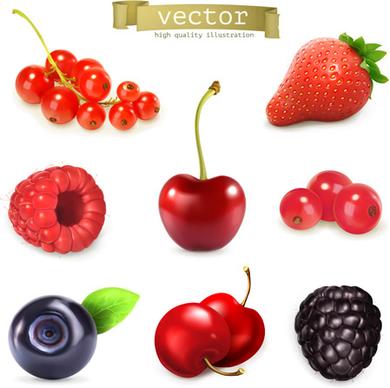 fresh ripe summer berries shiny vector