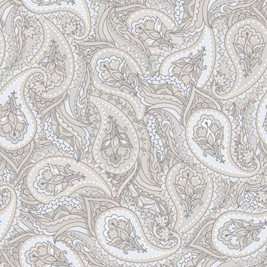 pattern paisley seamless vector