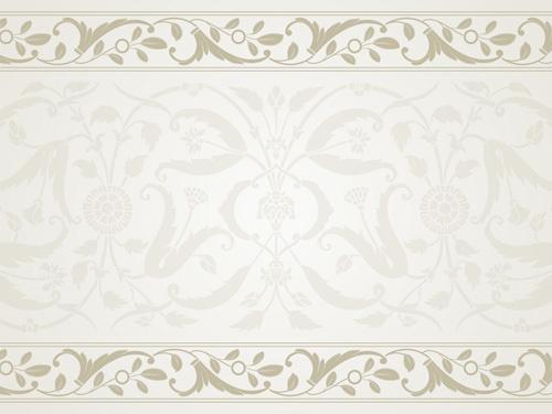 elegant ornament floral borders seamless vector