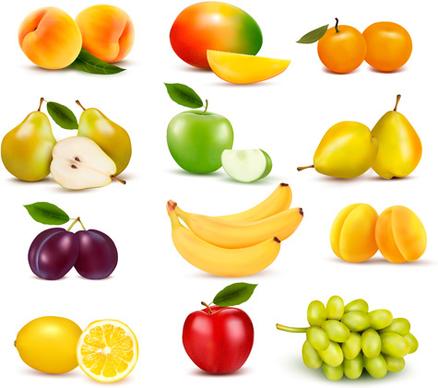 various fresh fruits vector design