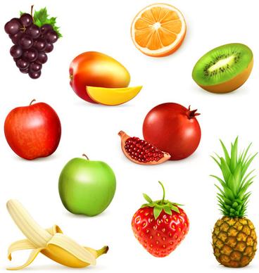 various fresh fruits vector design