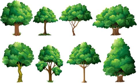 various tree vectors set