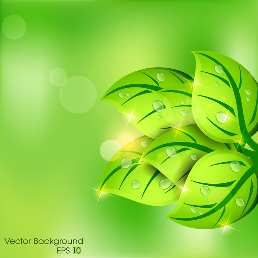 green leaves with water drop eco background