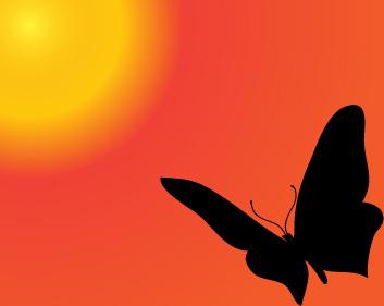 sunset with butterfly silhouette vector