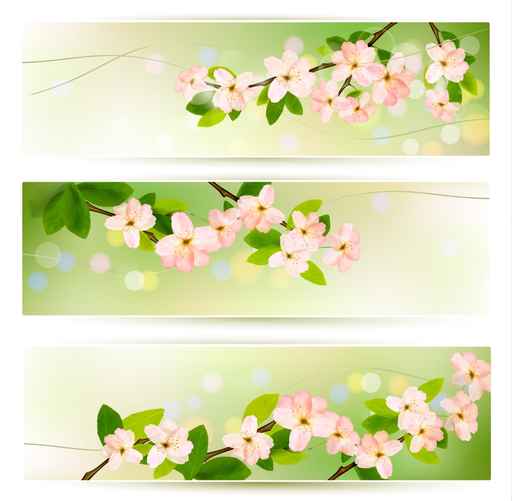 flower green banners vectors