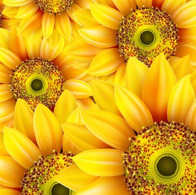 realistic sunflowers vector seamless pattern