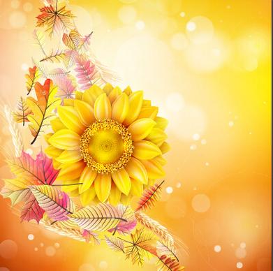 beautiful sunflowers golden background set vector