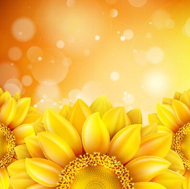 beautiful sunflowers golden background set vector