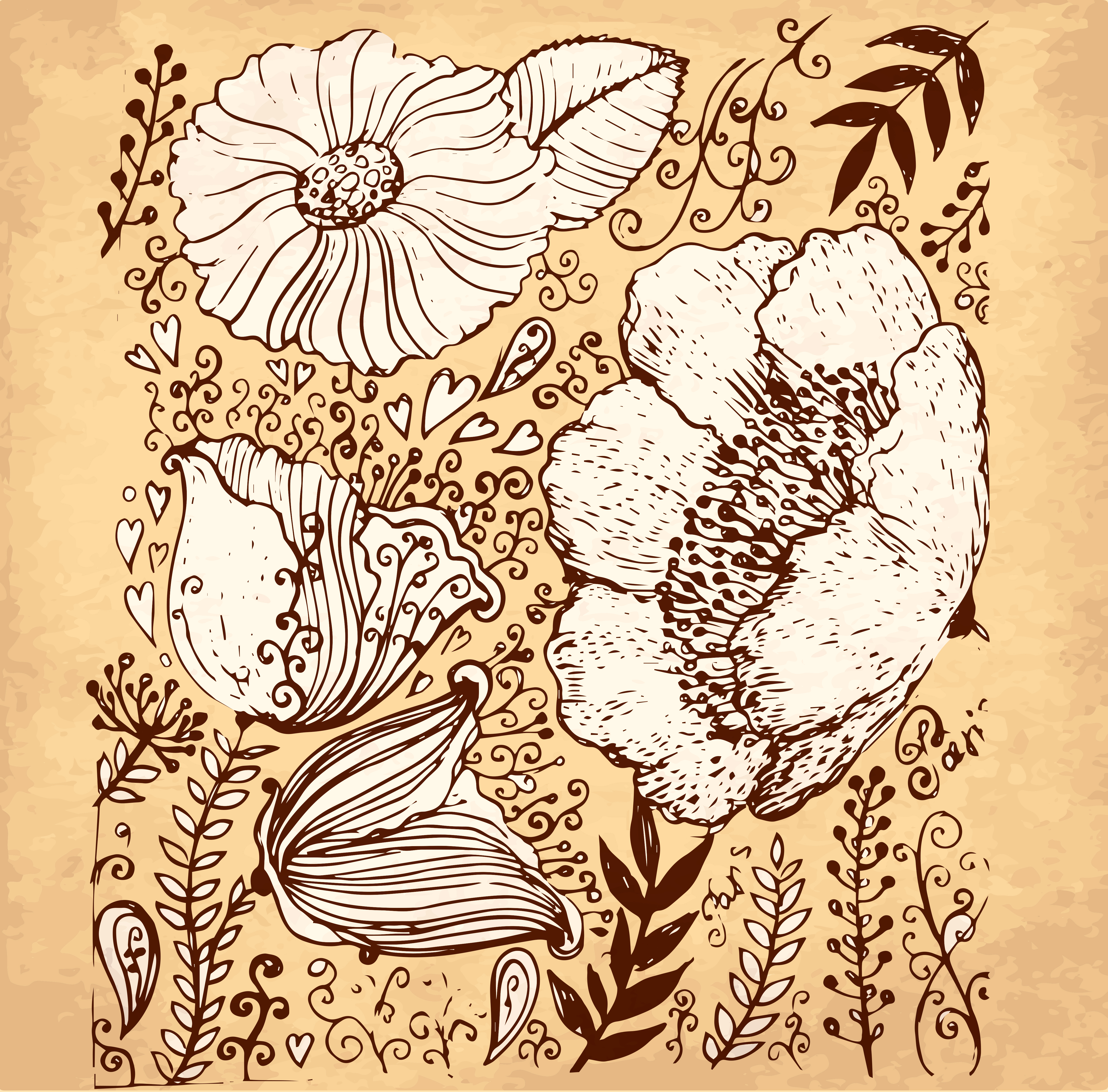 retro flowers hand drawing vector art