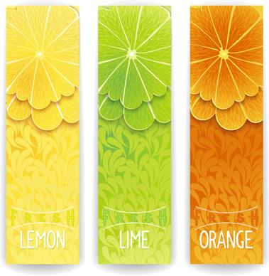 banner fresh fruit drink vector