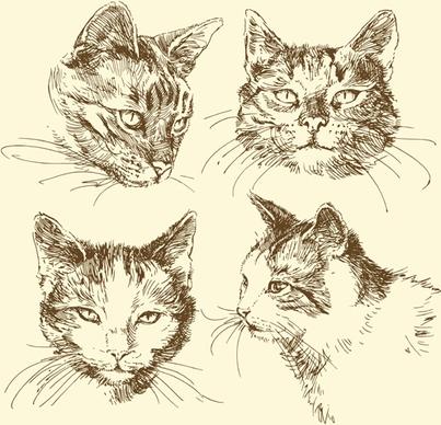 hand drawn cat head vector