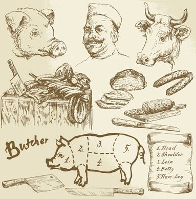 hand drawn butcher elements vector