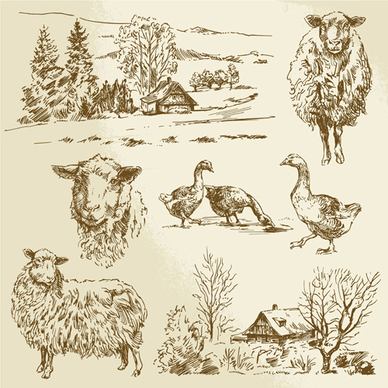 hand drawn agriculture with farm vectors