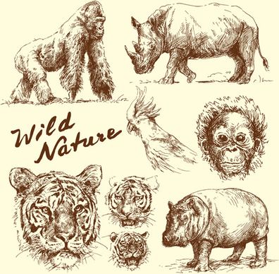 hand drawn wild animal design vectors