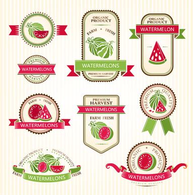 delicate fruits labels vector set