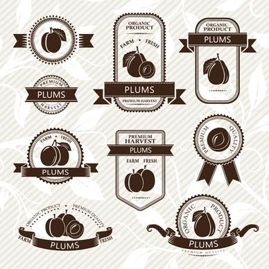 delicate fruits labels vector set