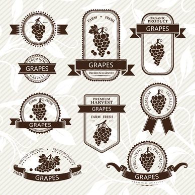 delicate fruits labels vector set