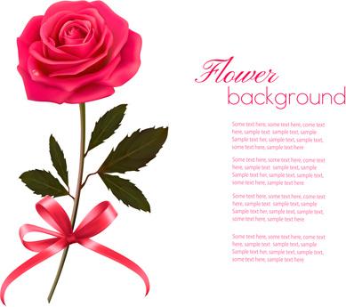 pink rose beautiful background vectors