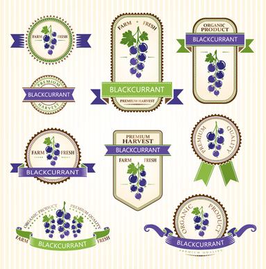 delicate fruits labels vector set