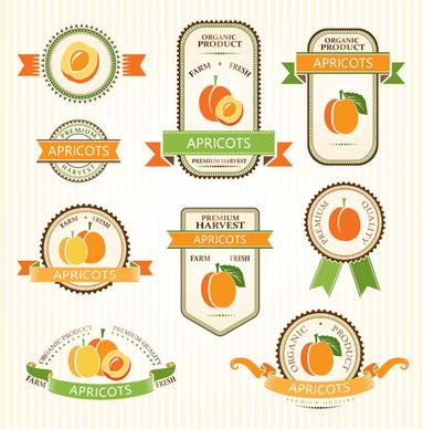 delicate fruits labels vector set