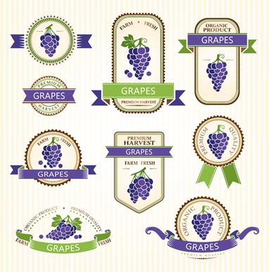 delicate fruits labels vector set