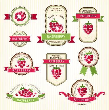 delicate fruits labels vector set