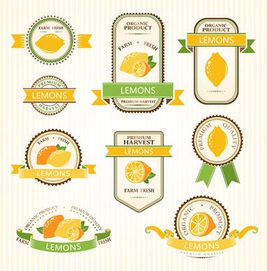 delicate fruits labels vector set