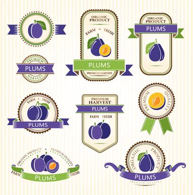 delicate fruits labels vector set