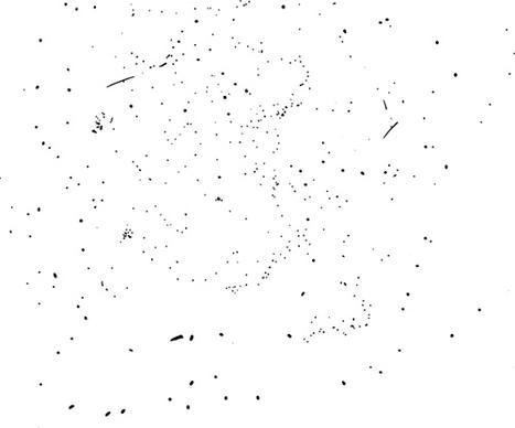 black speckle texture vector