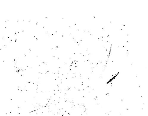 black speckle texture vector